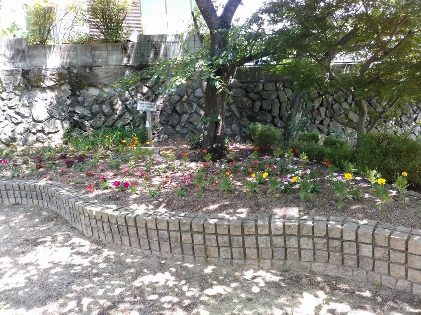 楠ケ丘地蔵公園の花壇